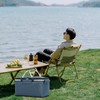 Picnic Bag Foldable Picnic Basket Insulated Comfortable Handle Ice Pockets