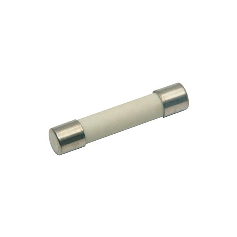 (5 Pack) Microwave Replacement Fuse, 20A, 250V, Ceramic Line Fuse,