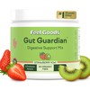 Feel Goods Gut Guardian, Organic Fiber, Probiotic & Prebiotic Powder,