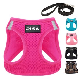 PINA Dog Harness for Small Dogs No Pull, Small Dog Harness and Leash Set, No Choke Breathable Mesh Dog Vest Harness, Lightweight Adjustable Small Medium Dog Harness - Easy to Put On and Take Off