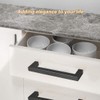 Fiabgum 5 Inch Drawer Handles Kitchen Cabinet Handles Black Drawer