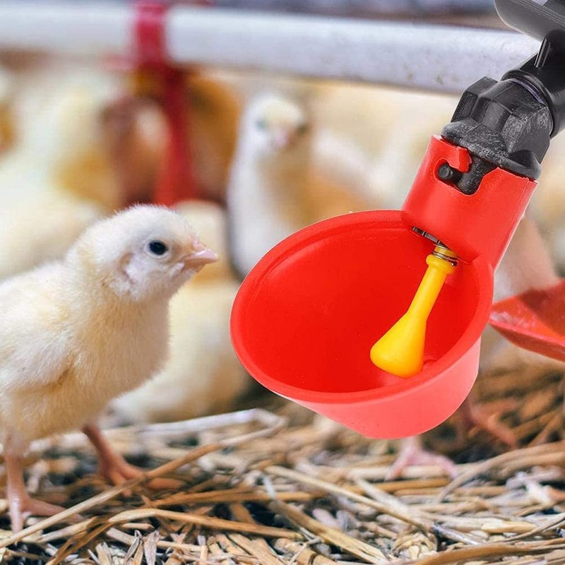 Plzoslly 10 Pieces Automatic Poultry Drinking Cups, Chicken Water Feeder