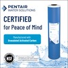 Pentair OMNIFilter GAC1 Carbon Water Filter, 10-Inch, Under Sink Granular