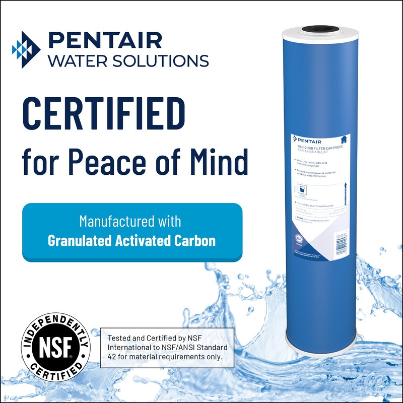 Pentair OMNIFilter GAC1 Carbon Water Filter, 10-Inch, Under Sink Granular