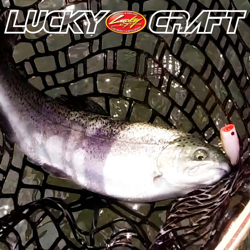 Lucky Craft Pokopokokoku Krapy Floating (Kanimura)