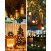 DEWENWILS Outdoor Dimmer for String Lights with Remote Waterproof Plug-in