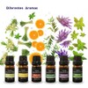 Bluelander Set de 6 Aceites Aromáticos para Difusor, Set de