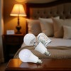 White Light Bulb Safe Box Secret Light, Storage Realistic Decoy