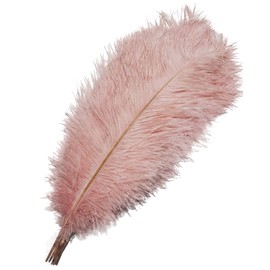 Happy Feather 16-18 inch Pink Ostrich Feathers Cratfs for Wedding Party Centerpieces Home Decoration DIY Craft Pack of 10
