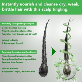 Rosemary Shampoo and Conditioner Set