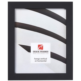 Craig Frames Essentials, Modern 1 Inch Picture Frame, 20 x 26 Inch, Black