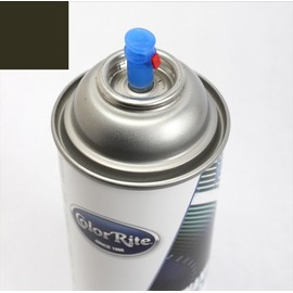 ColorRite Aerosol for Ford Fiesta Automotive Touch-up Paint - Charcoal Black (Interior) 5B8 - All-Inclusive Package