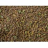 Aquatic Freshwater Snail Food Mix #2 with Calcium- Snail,Shrimp &