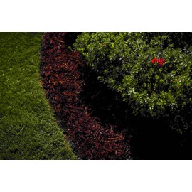 COLORBACK Brown Mulch Dye, 3,200 Square Feet Coverage – Mulch Colorant for Landscaping & Garden Beds, Wood Mulch Dye, Mulch Color Restorer & Playground Bark Mulch, Eco-Friendly Mulch Paint – 1-Quart