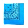 Novelty Bandanas Paisley Cotton Bandanas (Turquoise, 22 X 22 in)