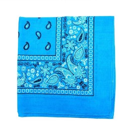 Novelty Bandanas Paisley Cotton Bandanas (Turquoise, 22 X 22 in)