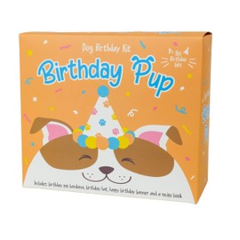 Gift Republic Birthday Pup - Dog Birthday Kit - Puppy Birthday Banner, Bandana, Hat + Dog Treat Recipe Booklet