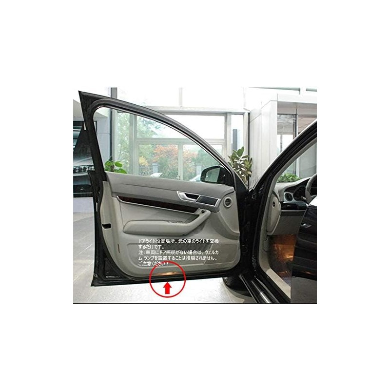Courtesy Lamp, LED Logo, Door Light, LED Chip, High Brightness,