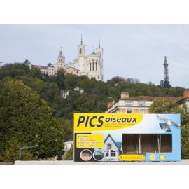 Caussade irepoipic pic-pigeons Discreet and easy to fit, Blue, 25 x 8 x 12 cm