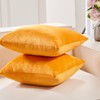 Deconovo Super Soft Plush Velvet Throw Pillow Covers with Invisible