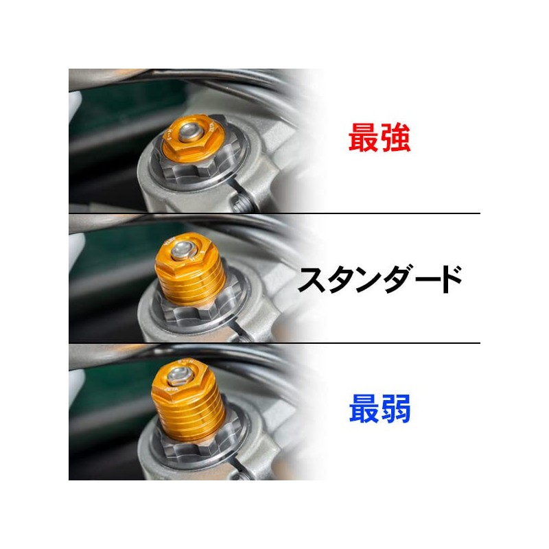 ZETA SEROW250 (05-20) XT250X (06-17) Front Fork Top Cap Initial