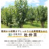 Gabai Farm Organic Cultivation Du Zhong Tea 0.1 oz (3