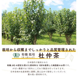 Gabai Farm Organic Cultivation Du Zhong Tea 0.1 oz (3 g) x 40 Packets (Set of 3) Made in Japan Handmade Tea Free Caffeinated Health Tea Bag