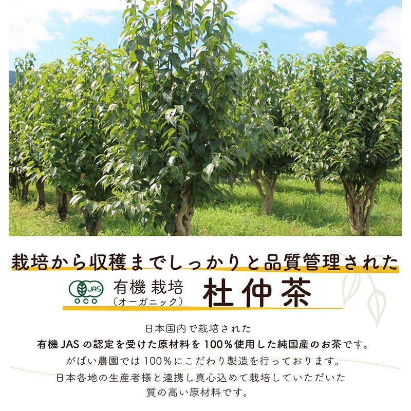 Gabai Farm Organic Cultivation Du Zhong Tea 0.1 oz (3
