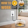 Flea Traps for Inside Your Home, 2 Packs Flea Trap