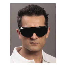 EKASTU-SEKUR SCHWEI ERS.CAR.KL.DESI.12799 GR N GET