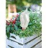 Scheurich 52888 0 XL 087/14 Bordy Watering System - White/Champagne