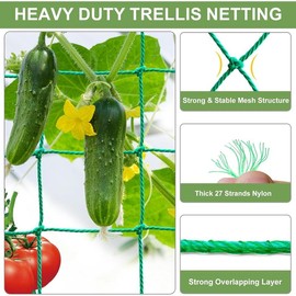 Trellis Netting, 32.8x6.6Ft Garden Trellis Netting for Climbing  with 20 count  Clips,  Netting for Cucumber, Tomato, 27 Strands & 4x4 in Mesh, Grow Net for Vine, Fruit, Vegetable, Bean - Color: 16.5' x 6.6'Ft