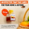 Super Ninja Fruit Fly Traps for Indoors - 1 Pack,