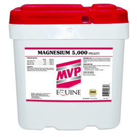 Magnesium 5,000 (20lb)