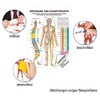 Rüdiger Meridians and Thorn Mini Poster Anatomy 34 x 24