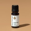 Plant Therapy Ginger Root CO2 Essential Oil 100% Pure, Undiluted,