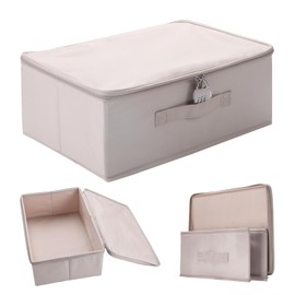 Toy Lock Box, Lockable Toy Storage Organizer Case, Large Toy Storage 15 x 10 x 6.3 Inches, Adult Toy Box with Lock, Discreet Lockable Boxes for Women and Men