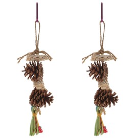 LUOZZY 2 Pcs Pine Cones for Parrots Chewing Toy Balance Training Bird Toy Swing Toys for Birds Birdcage Hanging Decor with Tassel