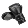 Everlast Powerlock 2R Training Glove - Black - 12 oz