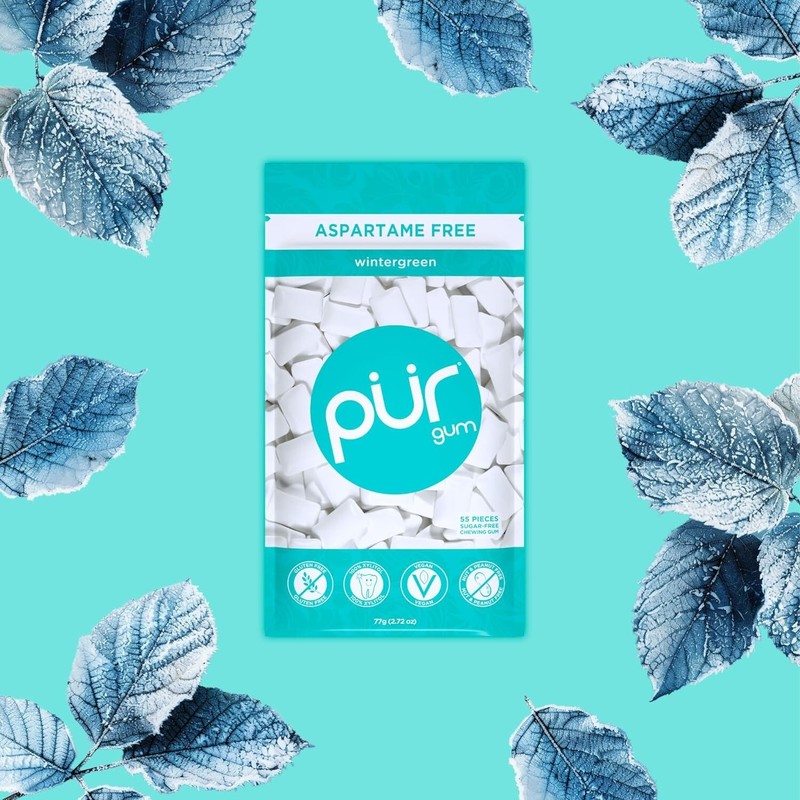 PUR Gum Aspartame Free Natural Wintergreen Chewing Gum, 55 Pieces