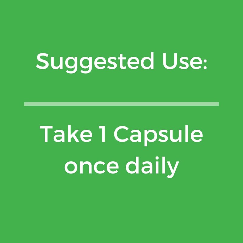 Natgrown Saw Palmetto for Men 500mg – Prostate Health Supplement