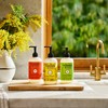 MRS. MEYER'S CLEAN DAY Liquid Hand Soap, Tomato Vine Scent,