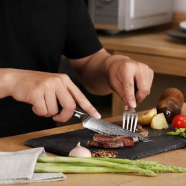 Sunnecko Kitchen Steak Knife 5 Inch Damascus Steak Knife VG-10 Japanese Steel Steak Knife Full Tang, Non Serrated Steak Knives High Carbon Stainless Steel