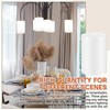 Teenyyou 3 Pcs White Frosted Glass Shade Replacements for Pendant
