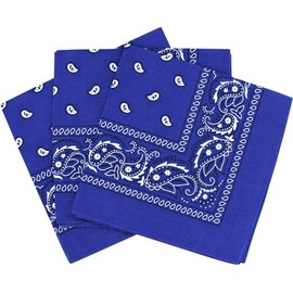 AAMERA Paisley Bandana Scarf Headband, Pack of 3, XL Size, for Men and Women (Royal Blue)