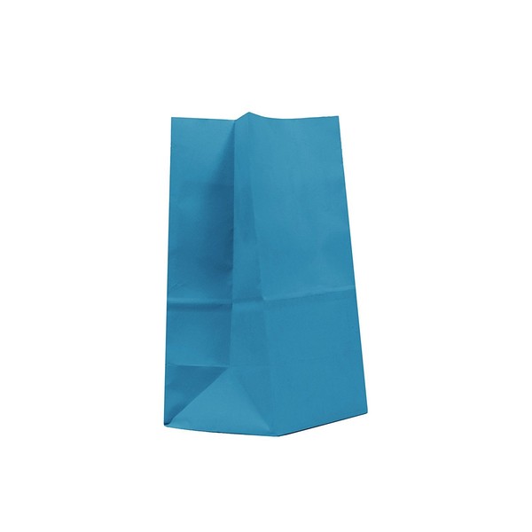 GIFT EXPRESSIONS 20CT Paper Bag, Favor Sack,Biodegradable, Food Safe Ink & Paper, Premium Quality Paper (Thicker), Favor Sack, Kraft Paper Sack (Medium, Turquoise)
