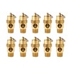 TOPRING 09.310 ASME Brass Compressed Air Safety Valve, 1/4(M) NPT