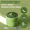 Mascarilla Limpiadora Profunda Nueva Holy
