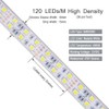 DealLED Super Bright 12V Double Row 600LED LED Strip Light,