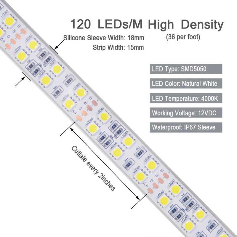 DealLED Super Bright 12V Double Row 600LED LED Strip Light,